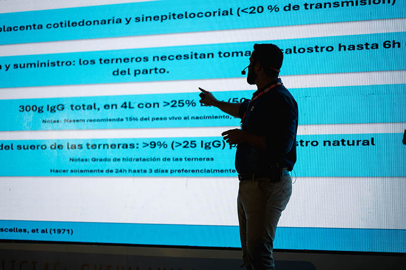 Evento 2025