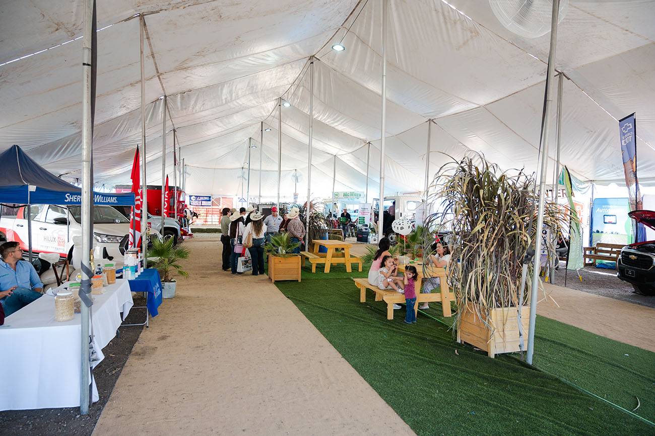 Campo de Alfalfa