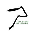 Holstein